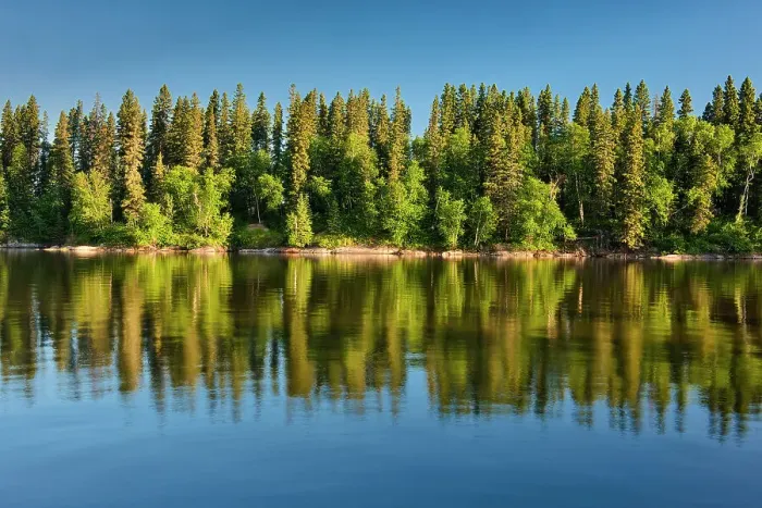 Framed Print : Canada, Manitoba, Paint Lake Provincial Park. Forest reflections on Paint Lake