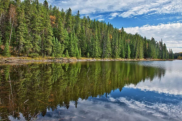 Canada, Manitoba. Prieston Lake Duck Mountain Provincial Park