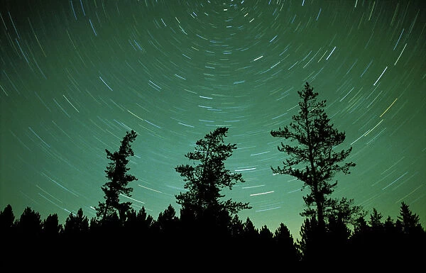 Canada, Manitoba, Sandilands Provincial Forest. Star trails and northern lights. Credit as