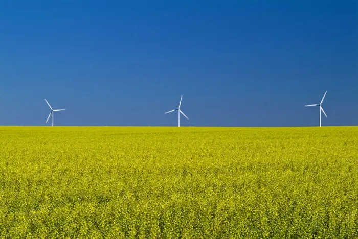 Framed Print : Canada, Manitoba, Somerset. Canola farm crop and clouds Framed Print : Canada, Manitoba, Somerset. Canola farm crop and clouds