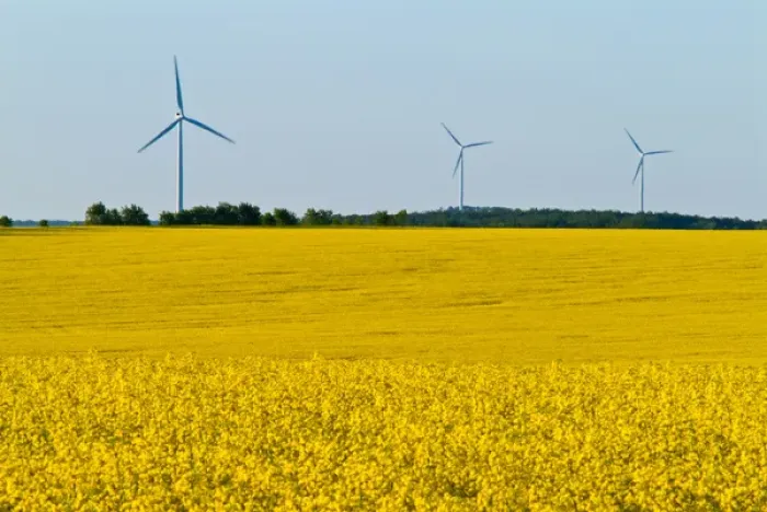 Framed Print : Canada, Manitoba, Somerset. Wind turbines and canola crop Framed Print : Canada, Manitoba, Somerset. Wind turbines and canola crop