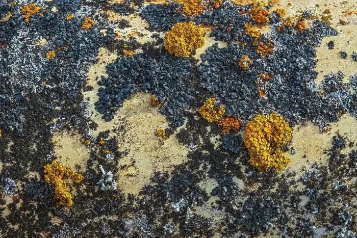 Framed Print : Canada, Manitoba, St. Lupicin. Close-up of rusted paint patterns on vintage car