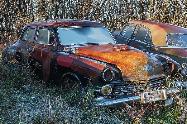 Canada, Manitoba, St. Lupicin. Rusted vintage cars. (Editorial Use Only)