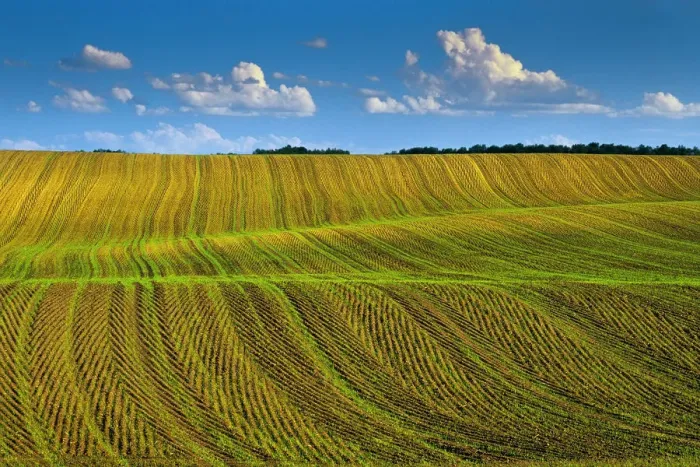 Framed Print : Canada, Manitoba, Treherne. Crop patterns in spring Framed Print : Canada, Manitoba, Treherne. Crop patterns in spring