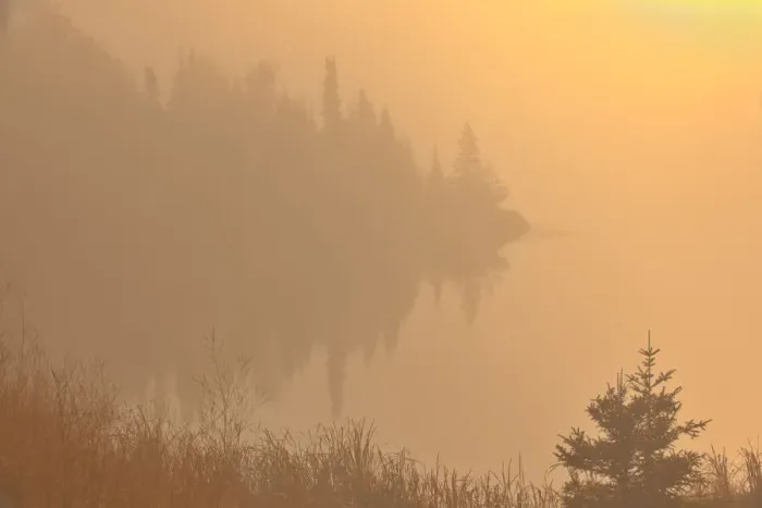Framed Print : Canada, Manitoba, Whiteshell Provincial Park, Trees and fog at sunrise at Lyons Lake Framed Print : Canada, Manitoba, Whiteshell Provincial Park, Trees and fog at sunrise at Lyons Lake