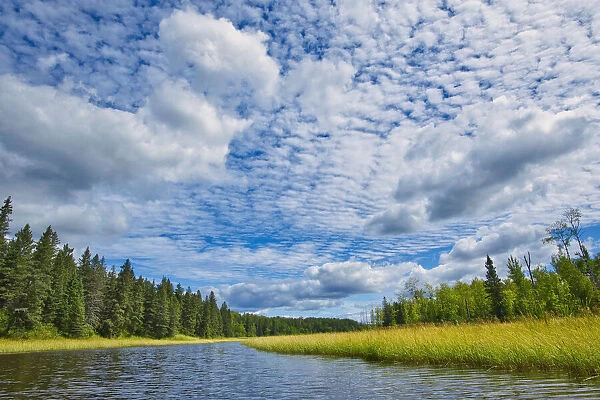 Canada, Manitoba, Whiteshell Provincial Park. River and forest landscape