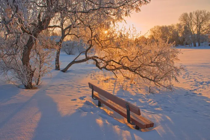 Framed Print : Canada, Manitoba, Winnipeg. Hoarfrost at sunrise with bench Framed Print : Canada, Manitoba, Winnipeg. Hoarfrost at sunrise with bench