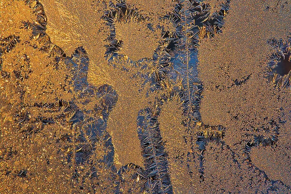 Canada, Manitoba, Winnipeg. Sunrise on window frost patterns in winter