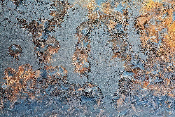 Canada, Manitoba, Winnipeg. Sunrise on window frost patterns in winter