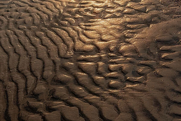 Canada, Manitoba, Winnipeg. Wave patterns on sandy beach of Lake Winnipeg