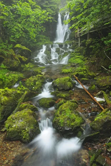 Framed Print : Canada, New Brunswick, Fundy National Park. Dickson Creek waterfall cascade. Credit as Framed Print : Canada, New Brunswick, Fundy National Park. Dickson Creek waterfall cascade. Credit as
