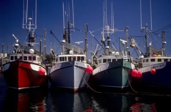 Framed Print : Canada: New Brunswick, Grand Manan, North Head Harbor, commercial fishing boats, July Framed Print : Canada: New Brunswick, Grand Manan, North Head Harbor, commercial fishing boats, July