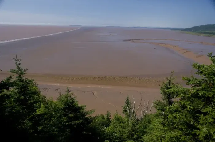 Framed Print : Canada, New Brunswick, Hopewell Cape, Bay of Fundy. Daniel Flats, view of mud flats Framed Print : Canada, New Brunswick, Hopewell Cape, Bay of Fundy. Daniel Flats, view of mud flats
