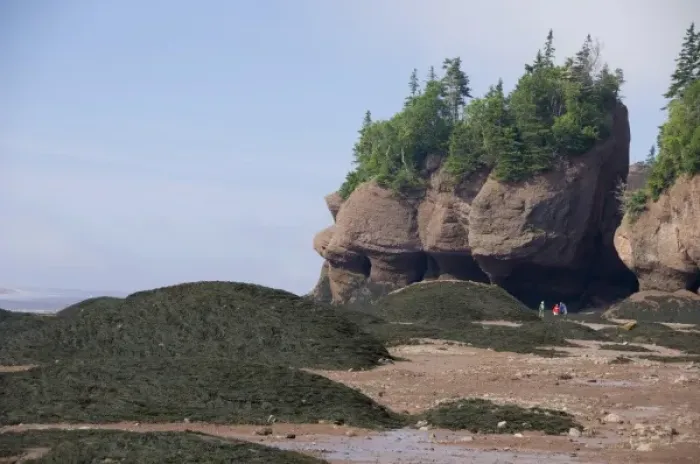 Framed Print : Canada, New Brunswick, Hopewell Cape, Bay of Fundy. Hopewell Rocks at low tide (aka Framed Print : Canada, New Brunswick, Hopewell Cape, Bay of Fundy. Hopewell Rocks at low tide (aka