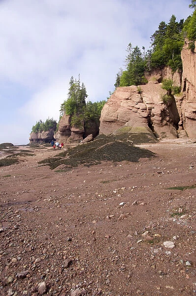 Canada, New Brunswick, Hopewell Cape, Bay of Fundy. Hopewell Rocks at low tide (aka