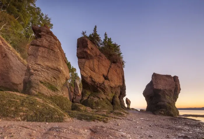 Framed Print : Canada, New Brunswick, Hopewell Rocks. Flowerpot Rocks formed by the great tides of Framed Print : Canada, New Brunswick, Hopewell Rocks. Flowerpot Rocks formed by the great tides of
