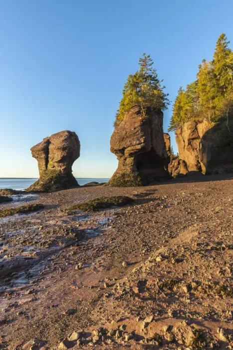 Framed Print : Canada, New Brunswick, Hopewell Rocks. Flowerpot Rocks formed by the great tides of