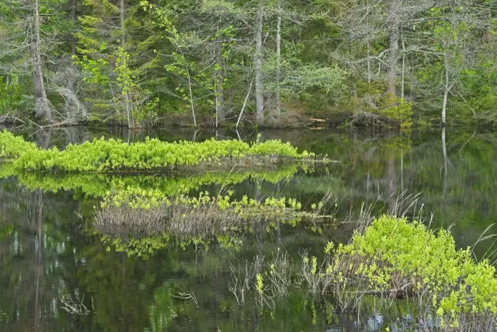 Framed Print : Canada, New Brunswick, Kouchibouguac National Park