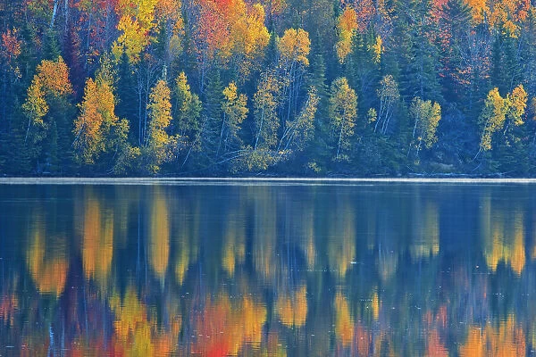 Canada, New Brunswick, Mactaquac. Autumn forest reflections on St. John River