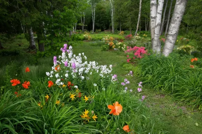 Framed Print : Canada, New Brunswick, Shampers Bluff. Garden scenic