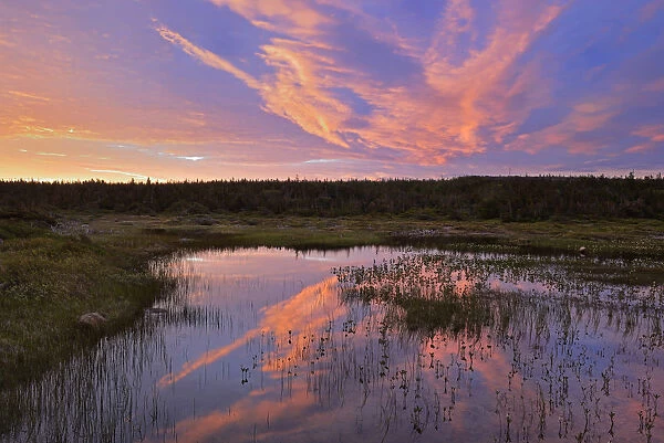 Canada, Newfoundland, Belburns. Sunrise reflected in wetland