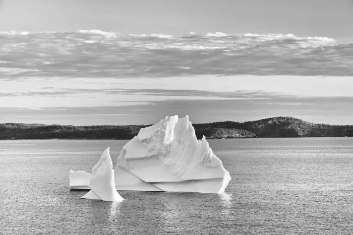 Framed Print : Canada, Newfoundland, Eastport. Icebergs floating in Salvage Bay of Atlantic Ocean Framed Print : Canada, Newfoundland, Eastport. Icebergs floating in Salvage Bay of Atlantic Ocean