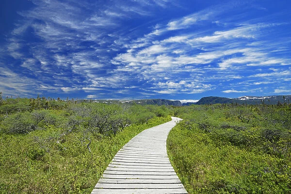 Canada, Newfoundland, Gros Morne National Park. Boardwalk at Western Brook Pond. Credit as