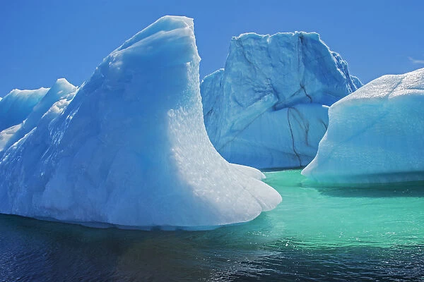Canada, Newfoundland, St. Anthony. Icebergs in Atlantic Ocean