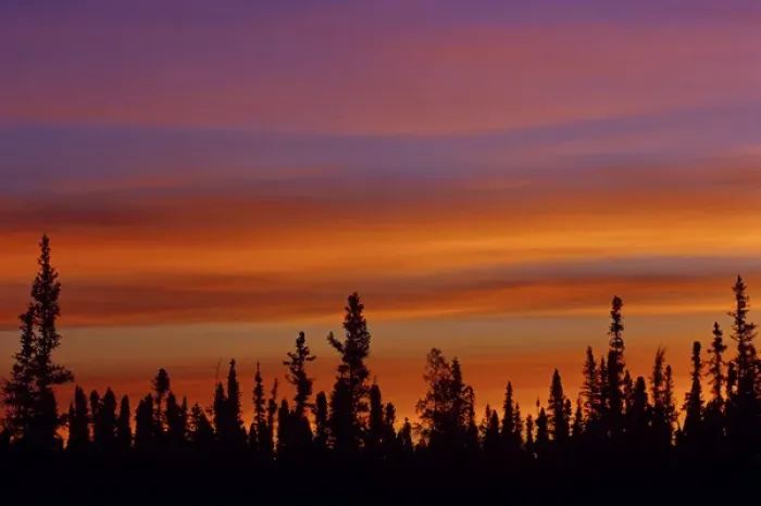 Framed Print : Canada, Northwest Territories, Ft. Resolution. Sunrise over boreal forest. Credit as Framed Print : Canada, Northwest Territories, Ft. Resolution. Sunrise over boreal forest. Credit as