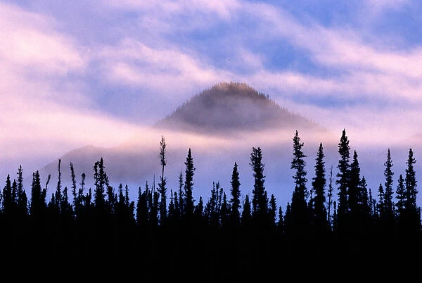 Canada, Northwest Territory, Misty Mtn