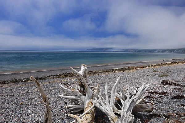 Canada, Nova Scotia, Advocate Harbour. Driftwood on Bay of Fundy beach. Credit as