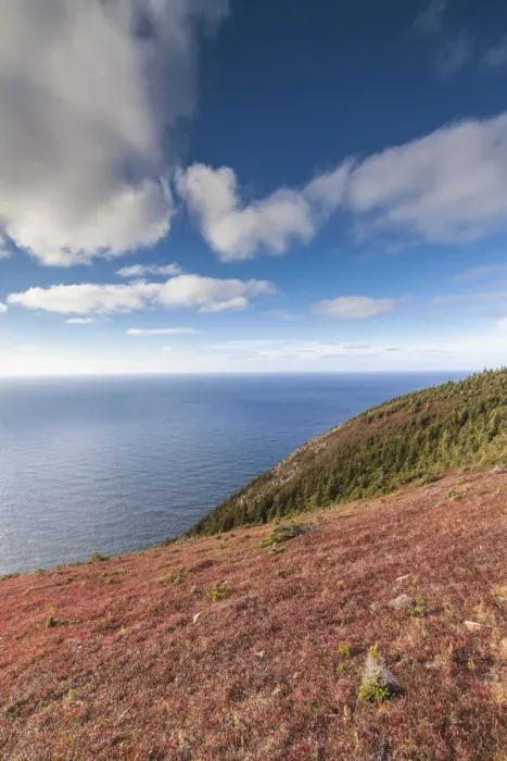 Framed Print : Canada, Nova Scotia, Cabot Trail. Cape Breton Highlands National Park