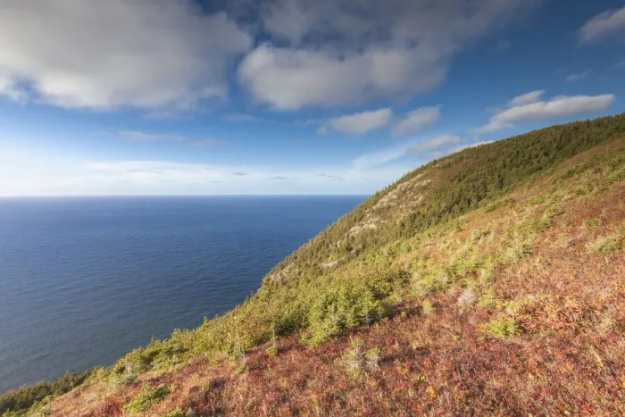 Framed Print : Canada, Nova Scotia, Cabot Trail. Cape Breton Highlands National Park Framed Print : Canada, Nova Scotia, Cabot Trail. Cape Breton Highlands National Park