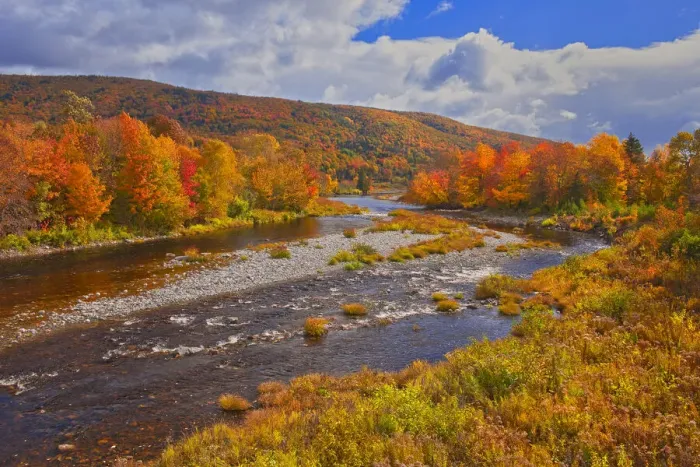 Framed Print : Canada, Nova Scotia, Cape Breton Island. The North River and forest in autumn foliage Framed Print : Canada, Nova Scotia, Cape Breton Island. The North River and forest in autumn foliage
