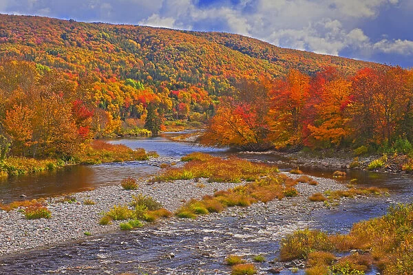 Canada, Nova Scotia, Cape Breton Island. The North River and forest in autumn foliage