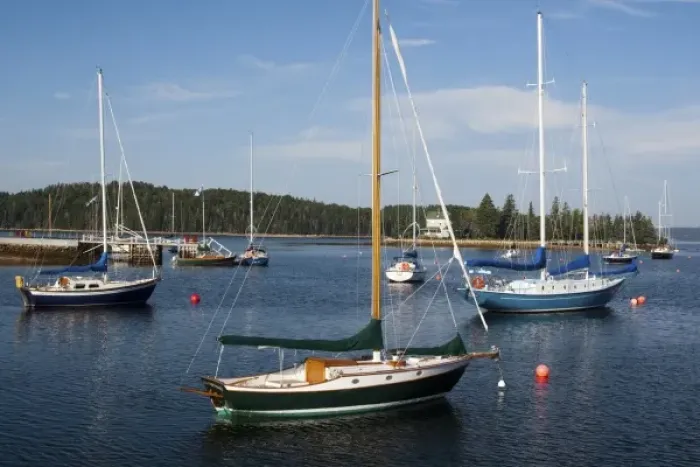 Framed Print : Canada, Nova Scotia, Chester sailboats in harbor Framed Print : Canada, Nova Scotia, Chester sailboats in harbor
