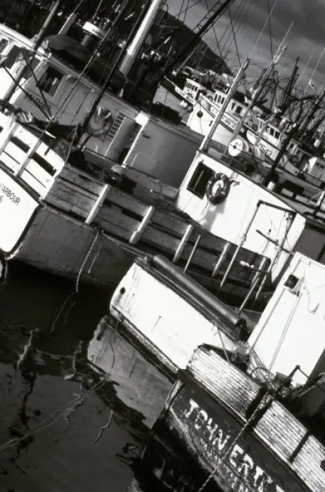 Framed Print : Canada, Nova Scotia, Digby. Fishing boats Framed Print : Canada, Nova Scotia, Digby. Fishing boats