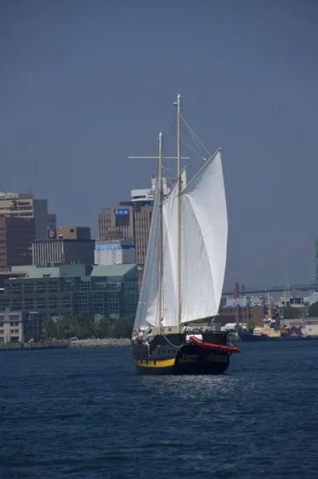 Framed Print : Canada, Nova Scotia, Halifax. City views of Halifax from the water, tourist Pirate ship Framed Print : Canada, Nova Scotia, Halifax. City views of Halifax from the water, tourist Pirate ship