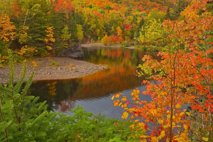 Framed Print : Canada, Nova Scotia. Indian Brook and forest in autumn. Credit as Framed Print : Canada, Nova Scotia. Indian Brook and forest in autumn. Credit as