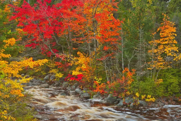 Framed Print : Canada, Nova Scotia. Mary-Anne Falls and forest in autumn foliage