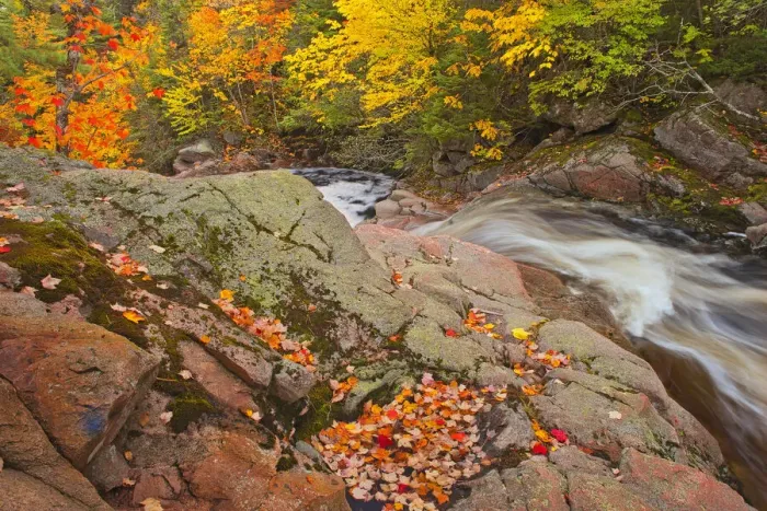 Framed Print : Canada, Nova Scotia. Mary-Anne Falls and forest in autumn foliage Framed Print : Canada, Nova Scotia. Mary-Anne Falls and forest in autumn foliage