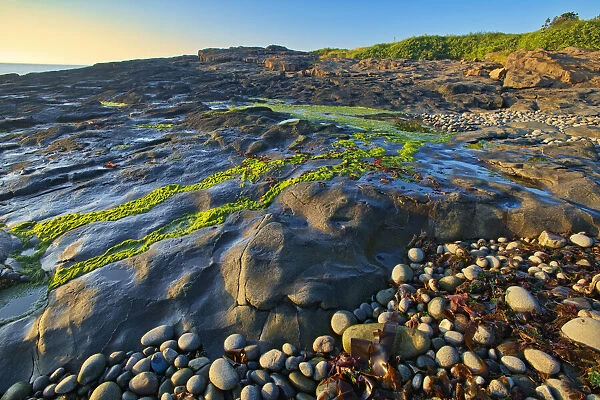 Canada, Nova Scotia. Rocky shoreline along Bay of Fundy