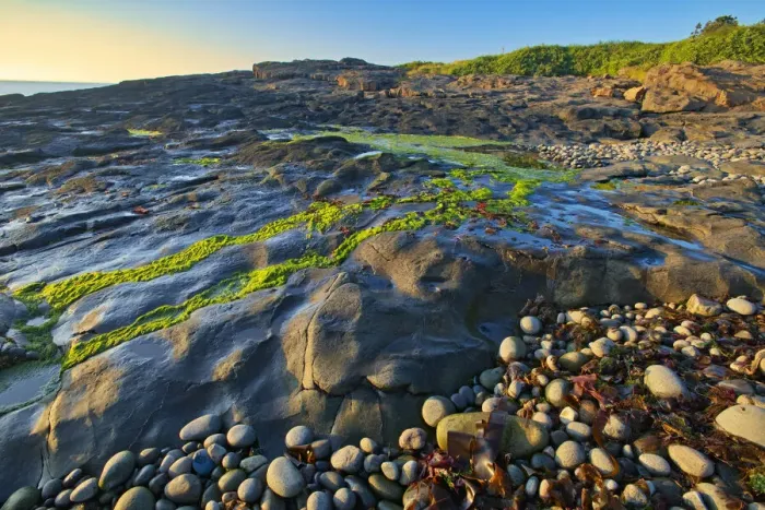Framed Print : Canada, Nova Scotia. Rocky shoreline along Bay of Fundy Framed Print : Canada, Nova Scotia. Rocky shoreline along Bay of Fundy