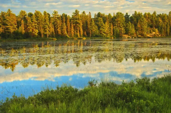 Framed Print : Canada, Ontario, Algonquin Provincial Park. Lake reflections at sunset. Credit as Framed Print : Canada, Ontario, Algonquin Provincial Park. Lake reflections at sunset. Credit as