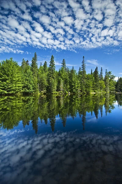 Canada, Ontario, Algonquin Provincial Park, Clouds and boreal forest reflected in Canoe