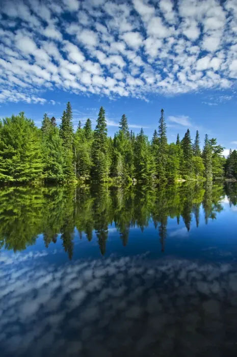 Framed Print : Canada, Ontario, Algonquin Provincial Park, Clouds and boreal forest reflected in Canoe Framed Print : Canada, Ontario, Algonquin Provincial Park, Clouds and boreal forest reflected in Canoe