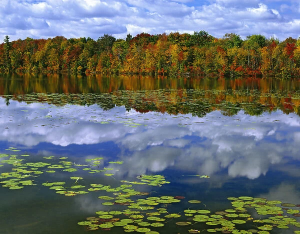 Canada, Ontario. Autumn-colored trees reflect in Park Haven Lake. Credit as: Dennis