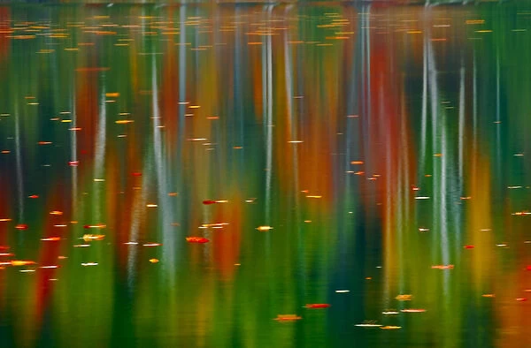 Canada, Ontario. Autumn-colored trees reflected in Horseshoe Lake