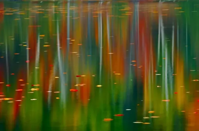 Framed Print : Canada, Ontario. Autumn-colored trees reflected in Horseshoe Lake