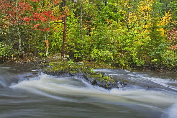 Canada, Ontario. Berry Creek landscape. Credit as: Mike Grandmaison  /  Jaynes Gallery  / 